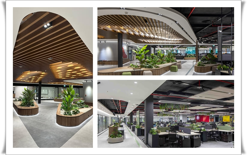 THY ACCOUNTING DEPARTMENT